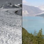 A mesma geleira de Muir, no Alasca (EUA), agora vista em 1941 (à esquerda) e em 2004 (à direita)