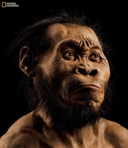 Reconstrução do rosto do 'Homo Naledi'