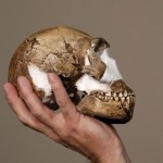 O professor Lee Berger segura a réplica de um crânio do ‘Homo naledi’, nova espécie de hominídeo descoberta na África do Sul (Foto: Siphiwe Sibeko/Reuters)